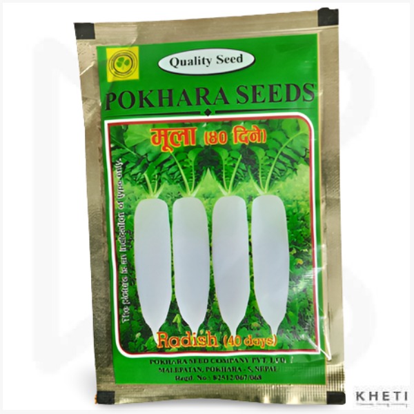 Radish 40 Days (Chalis Dine) Kantipur